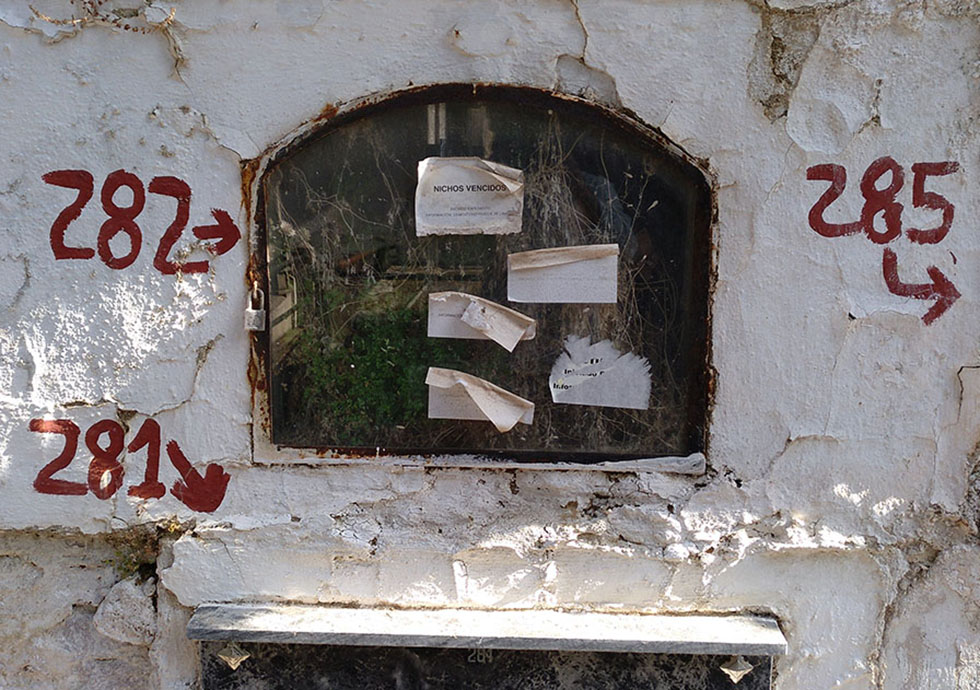 web-nichos-de-mercado-1 (1)